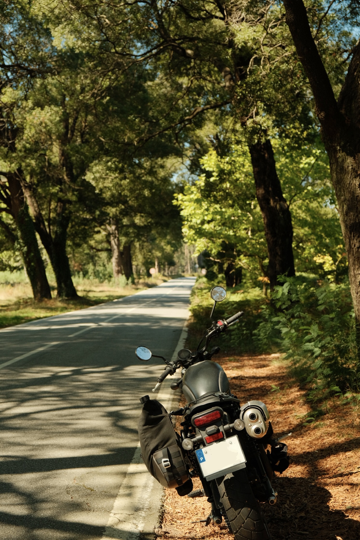 The Long Way Up to Caminha